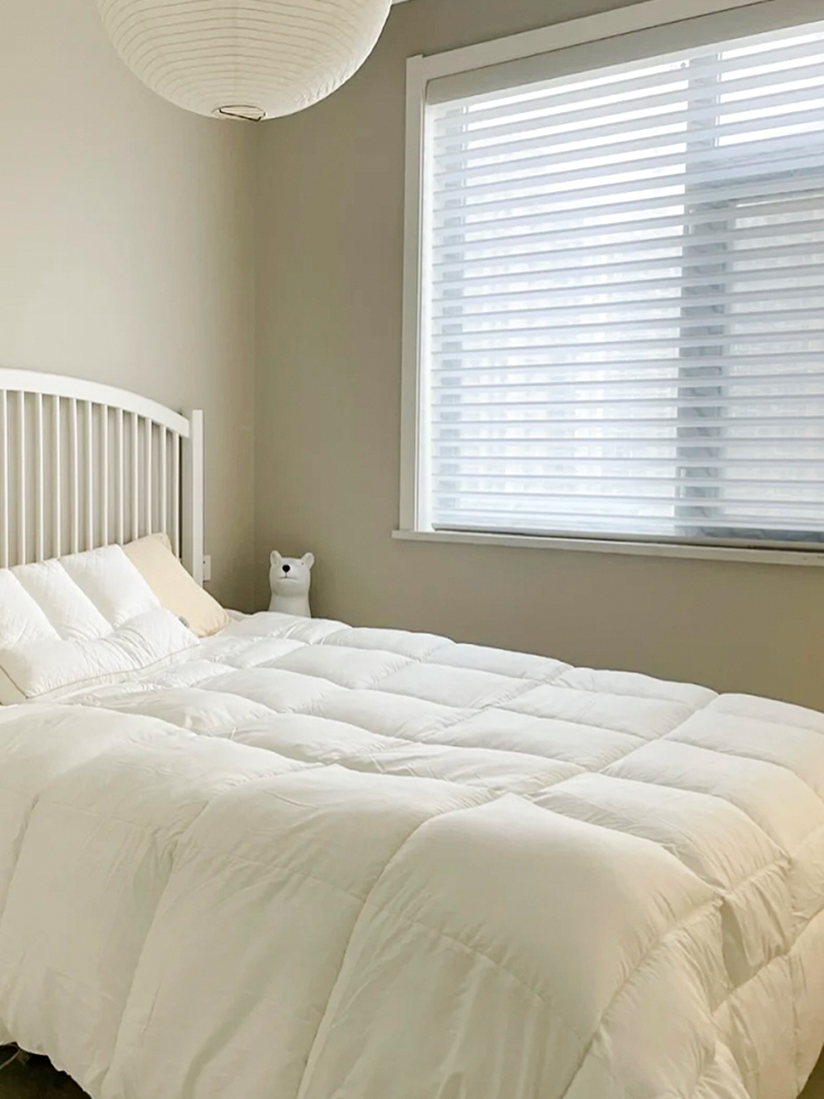 絲柔百葉圖片 2