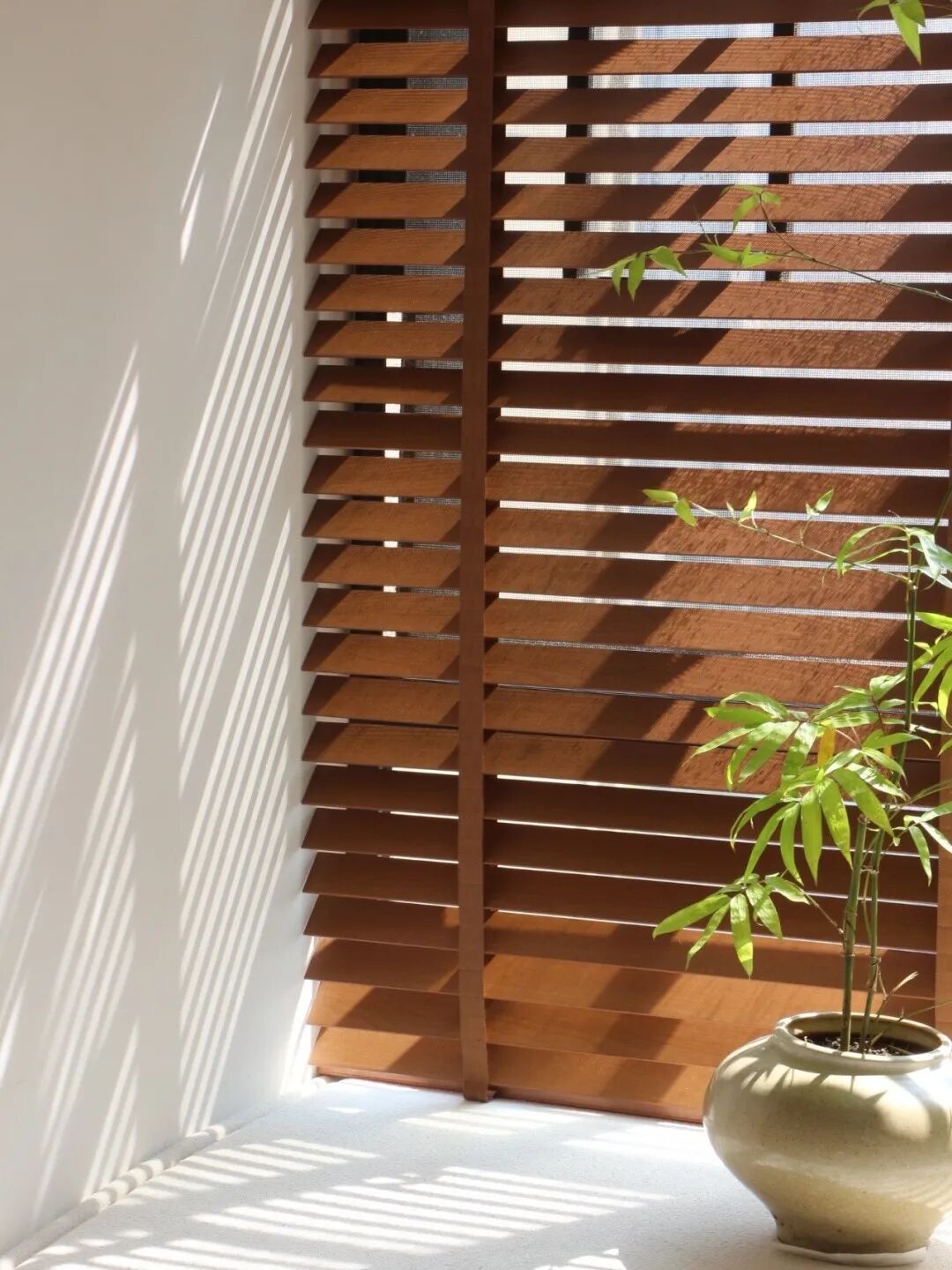 木百葉圖片 2